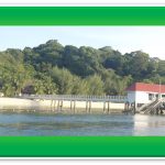 Pulau Redang, Terengganu