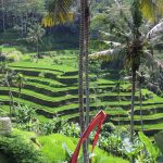 Bercuti di Bali, Indonesia