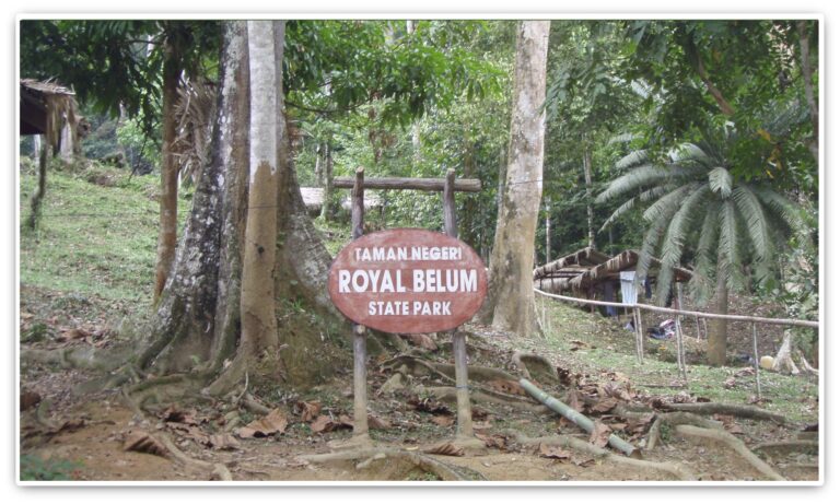 KENANGAN TERINDAH DI TAMAN ROYAL BELUM RAINFOREST, PERAK